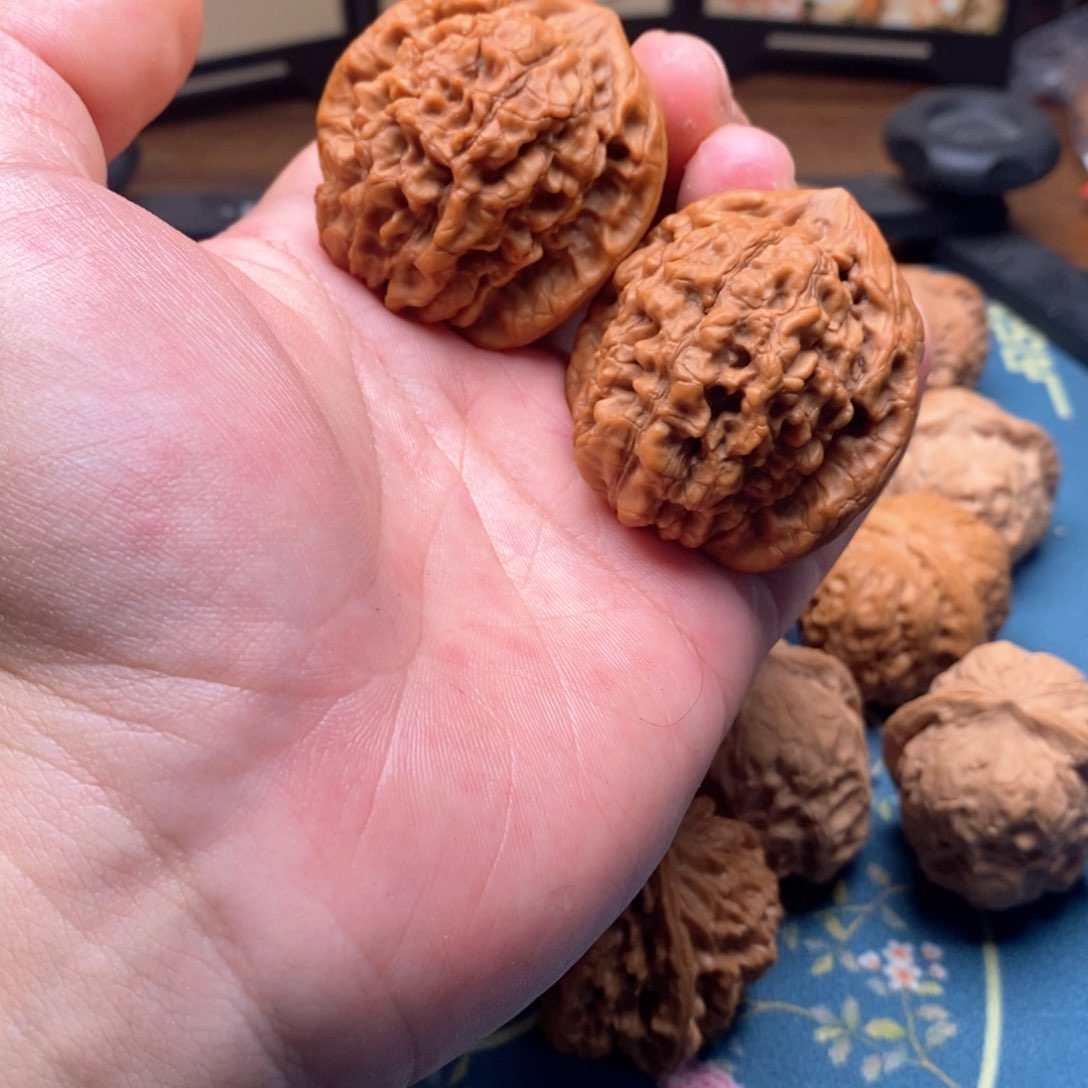 一***水文玩核桃龙鼎46全品