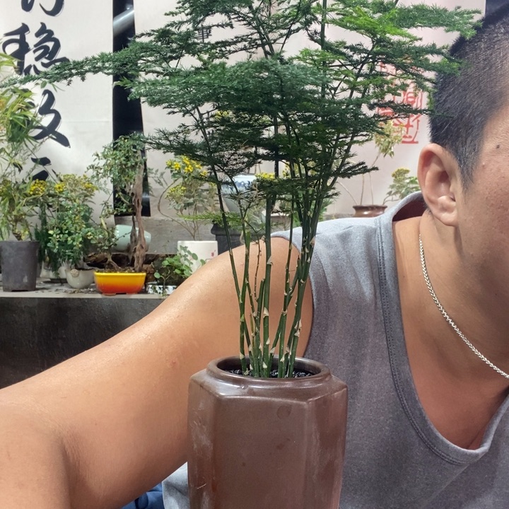 无花朵退款拉黑拉黑