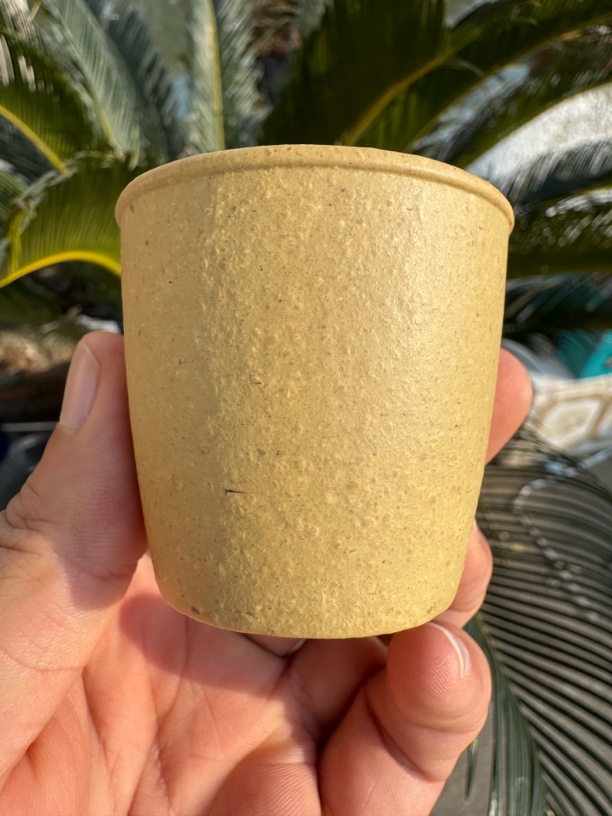 宜兴紫砂主人杯黄龙山原矿大水潭本山绿16目泥闻香杯主人杯80cc