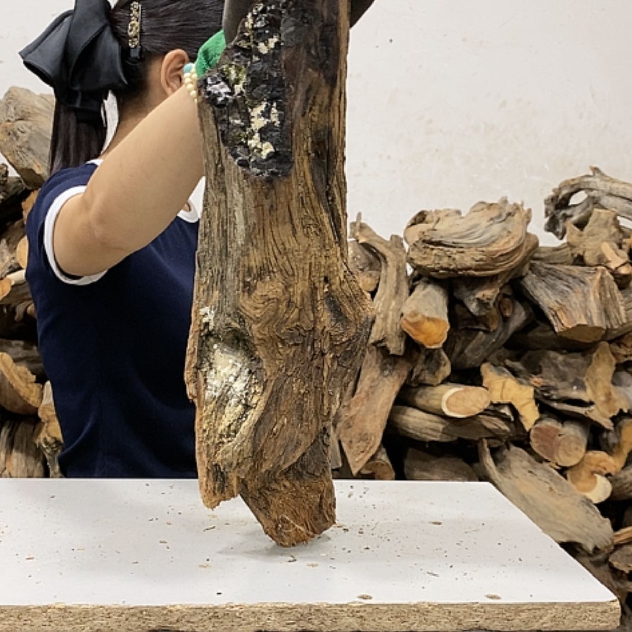 【闪购商品】柏木信*我们都是好孩子