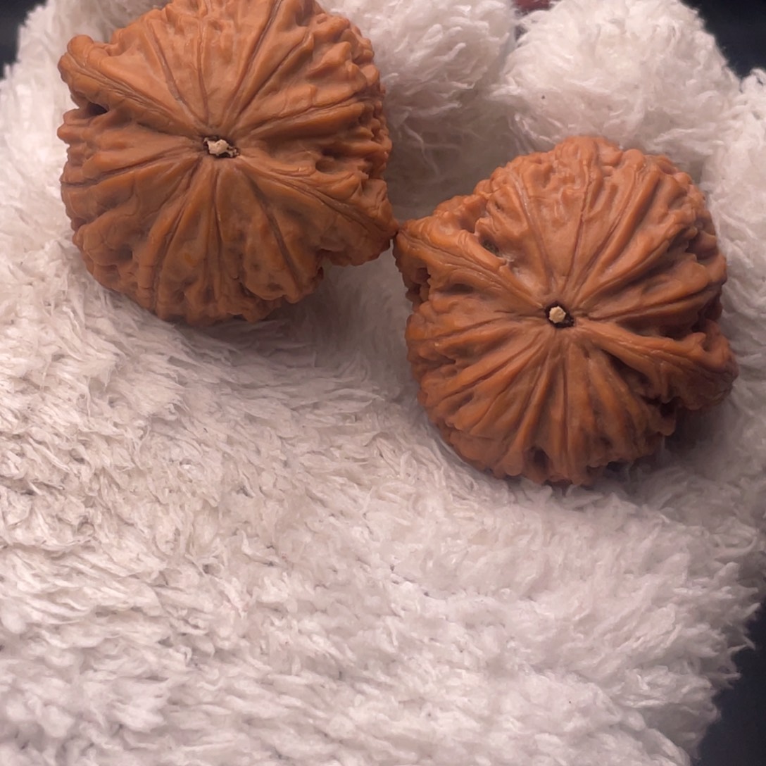 文玩核桃吊坠40蛟龙.昆仑印