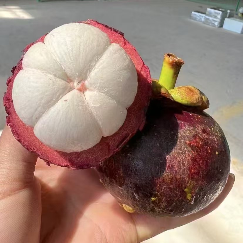 5A山竹148元净重约14斤一大箱