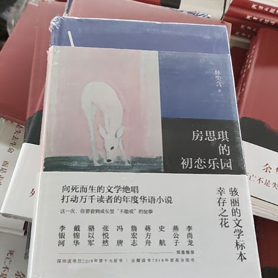 初恋乐园12闪购闪购闪购闪购闪购