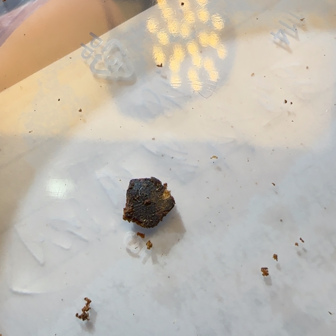 沉香沉香碎屑芽庄红土紫棋沉水1个礼物不退