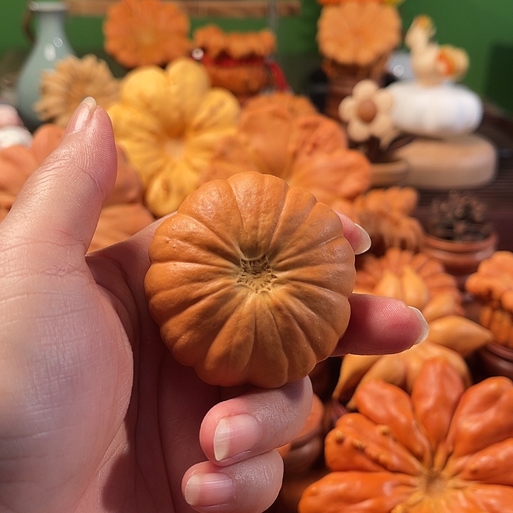 墨西哥葫芦手把太阳花