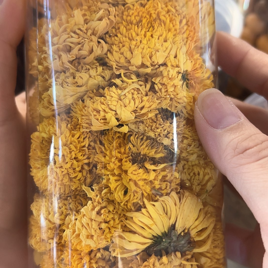 中国大陆超级香金丝菊50克