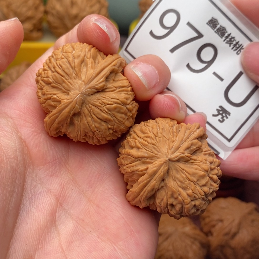 文玩核桃把件白狮35