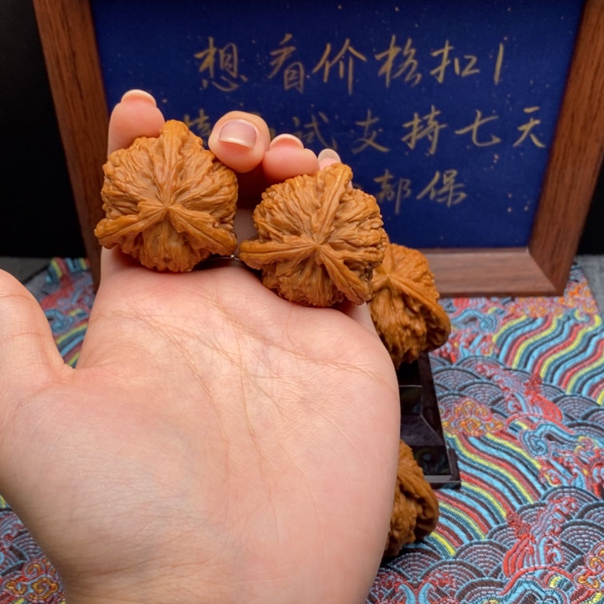 【闪购商品】?****强白狮