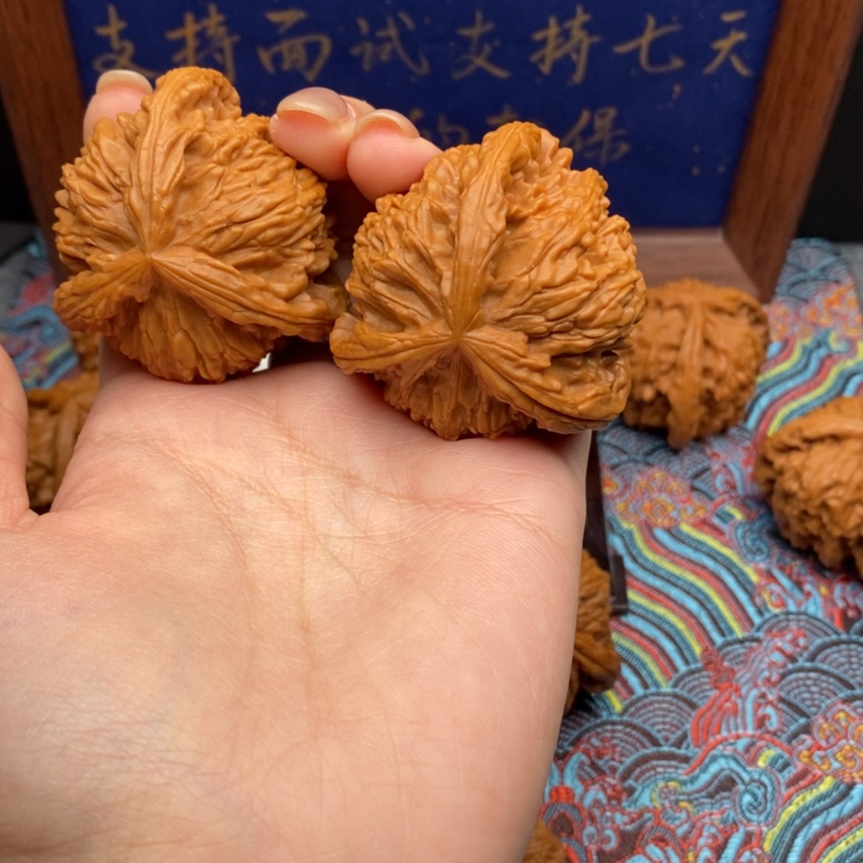 【闪购商品】D****G白狮