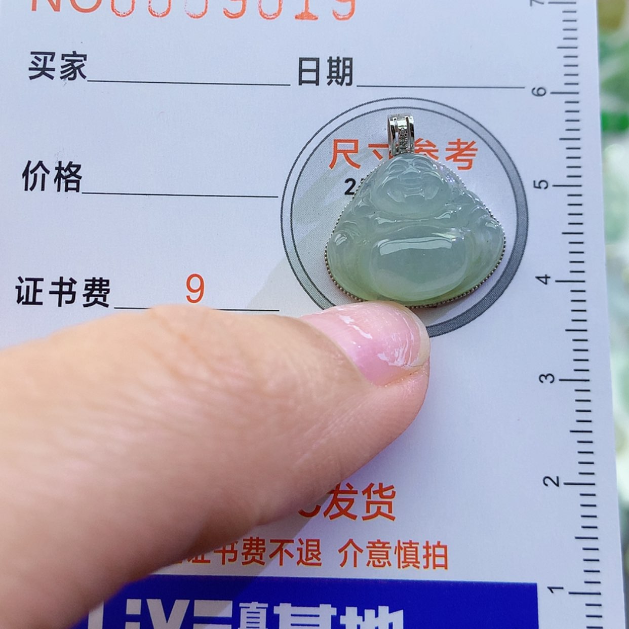 【闪购商品】翡翠颈饰未镶嵌颈饰6