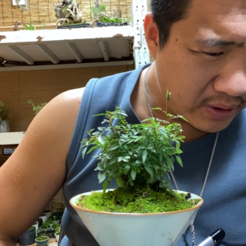 红陶萬*一物一拍所见即所得166