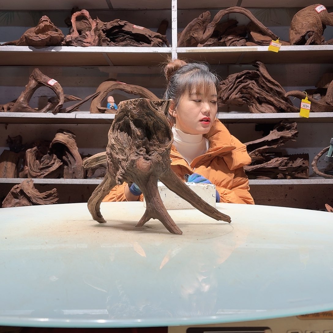 倍褚沉木不包损必褪色秋**机6515