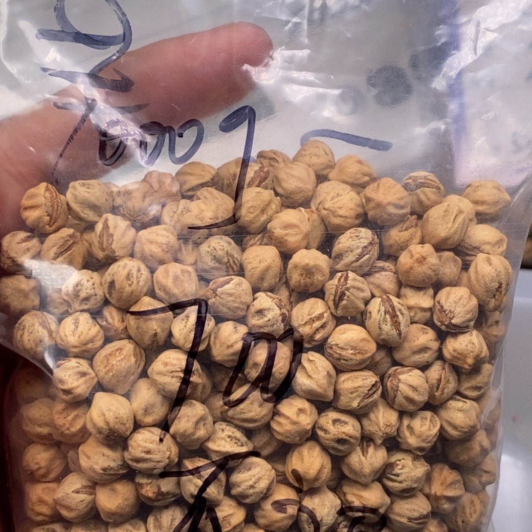 柏香籽/百香籽吊坠?****?