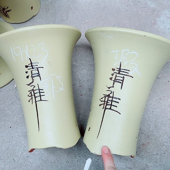 紫砂紫砂紫砂紫砂