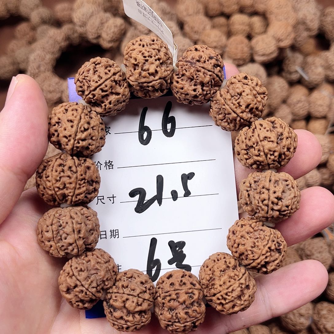 手串金刚菩提6号