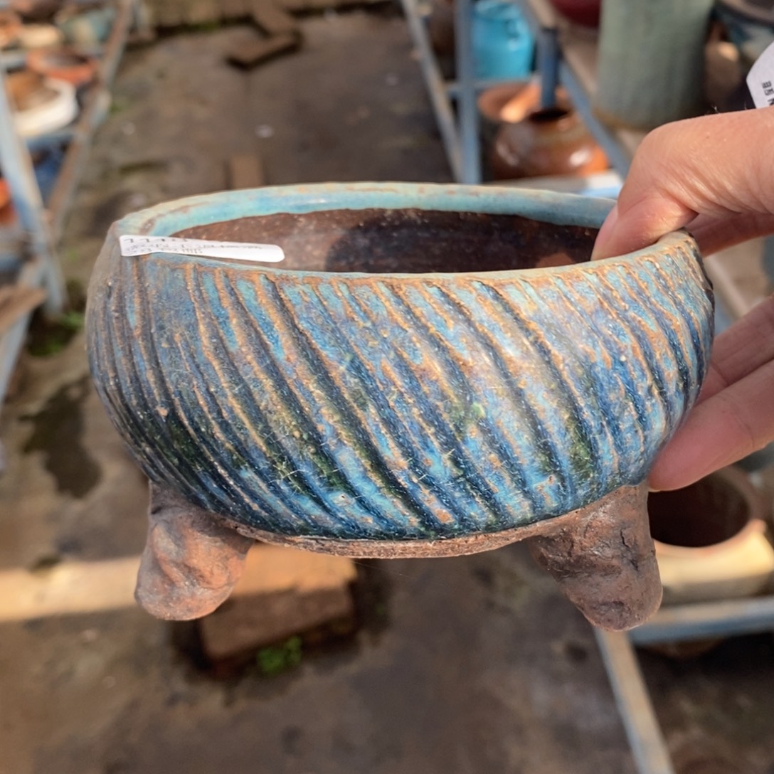 93号多肉盆口径11