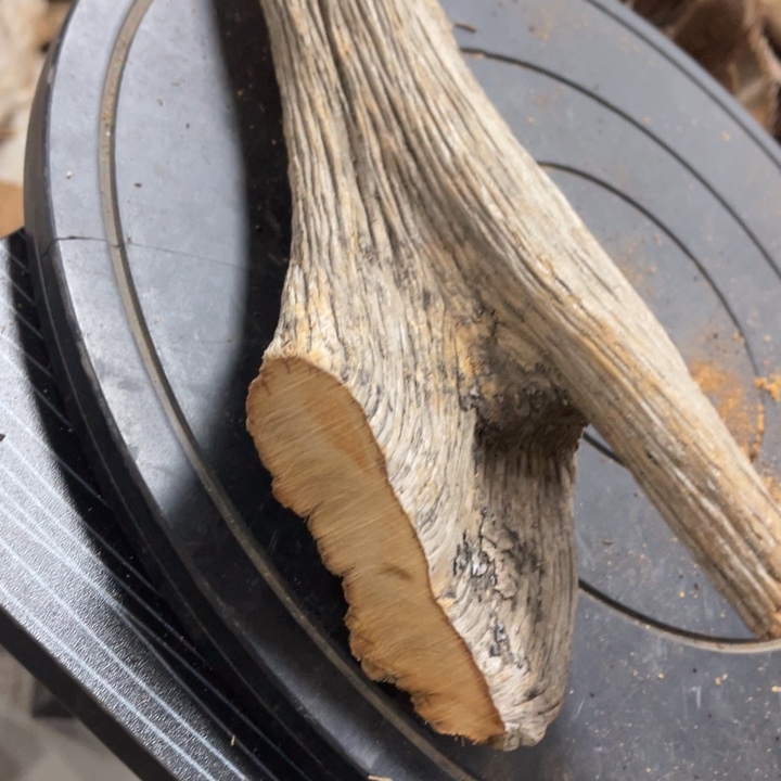 柏木（崖柏）太行崖柏陈化香料