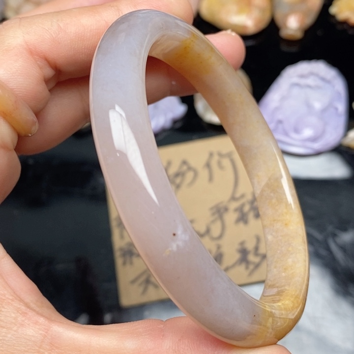 硅化珊瑚（珊瑚玉）手镯未镶嵌62