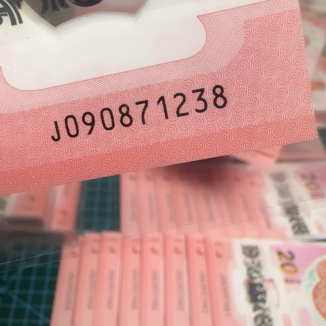 塑料蛇年纪念钞，顺着尾巴