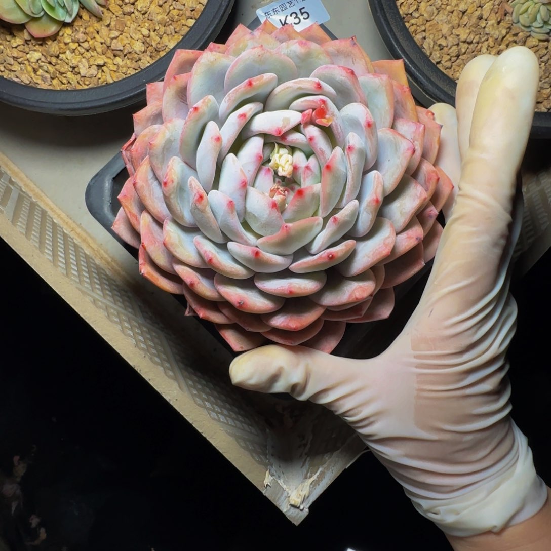 k k k k k k k k k k 35