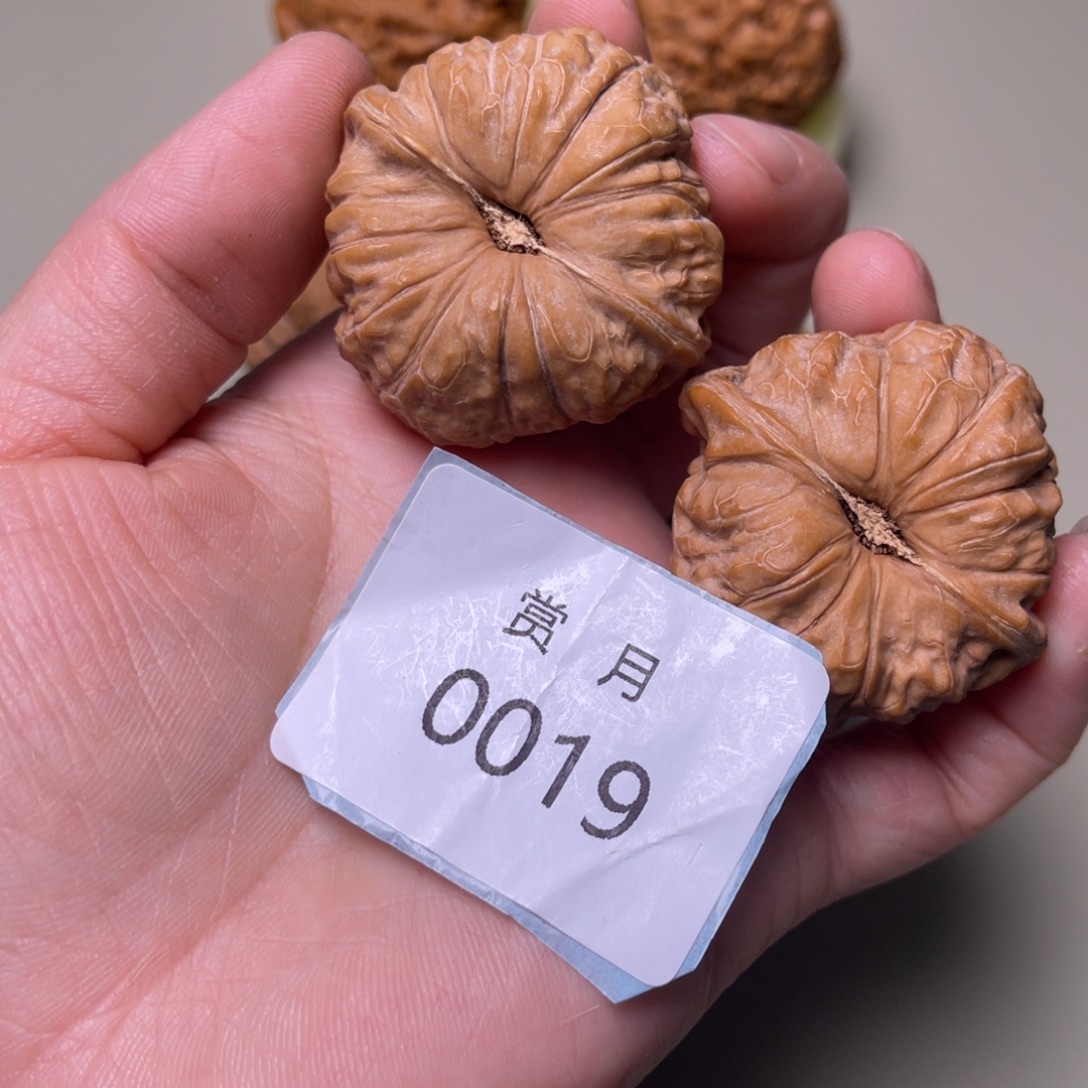 猪***心核桃文玩核桃南瓜粥0019