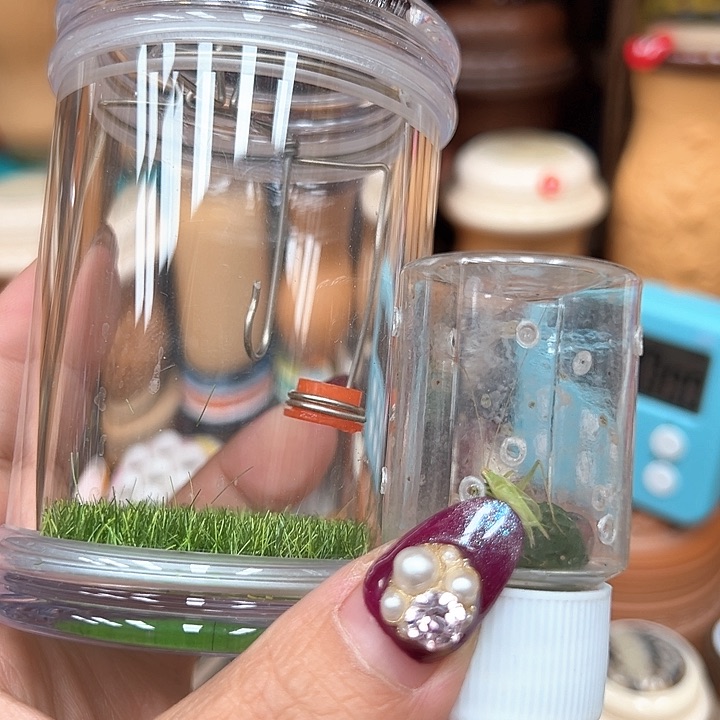 罐子加簧加竹蛉一套