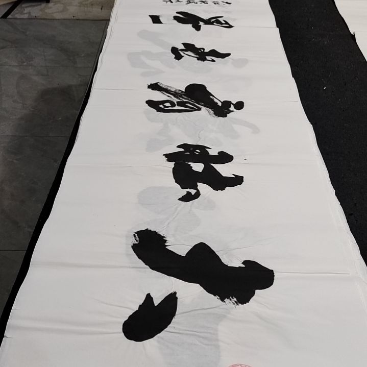 翰墨申国栋老师作品