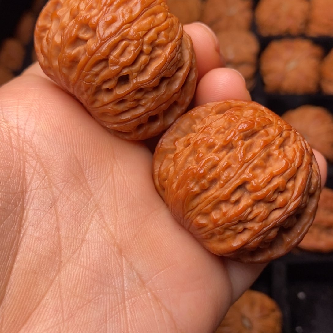 文玩核桃把件秦岭野生核桃