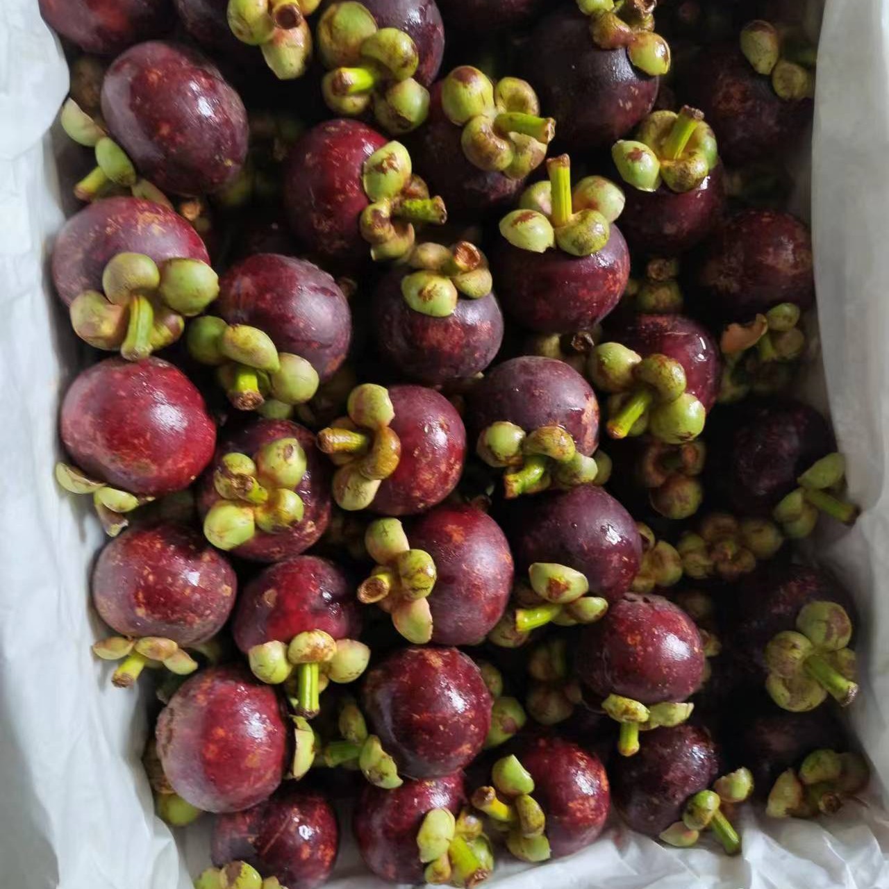 泰国白胖子山竹/500g