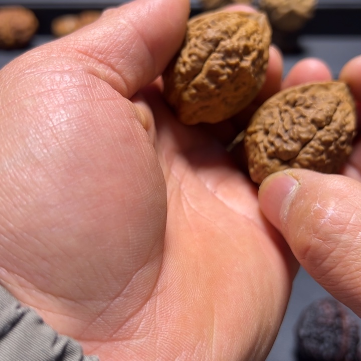 文玩核桃把件B鳄鱼头39mm