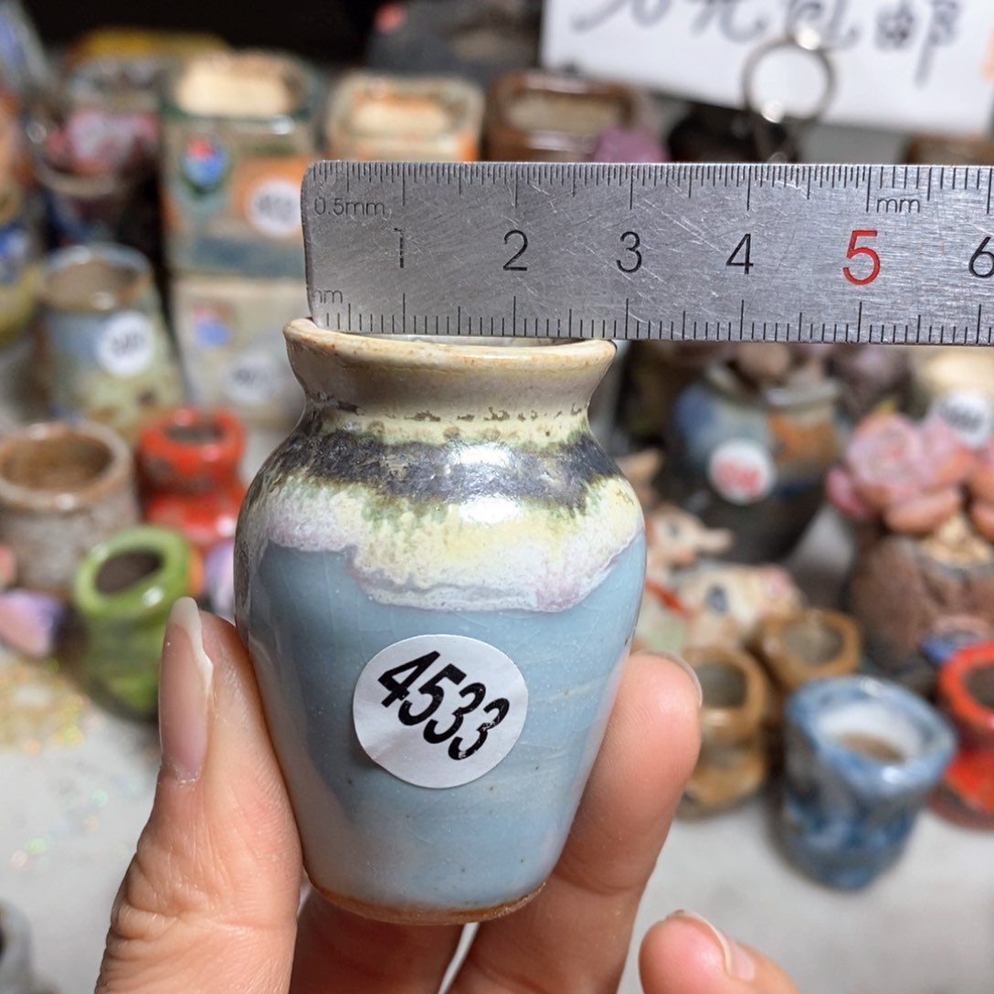 多肉花盆，拍5送一个小礼物