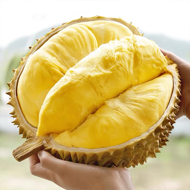 亮哥·泰国金枕榴莲老树榴莲新鲜发货香甜软糯生切不售后