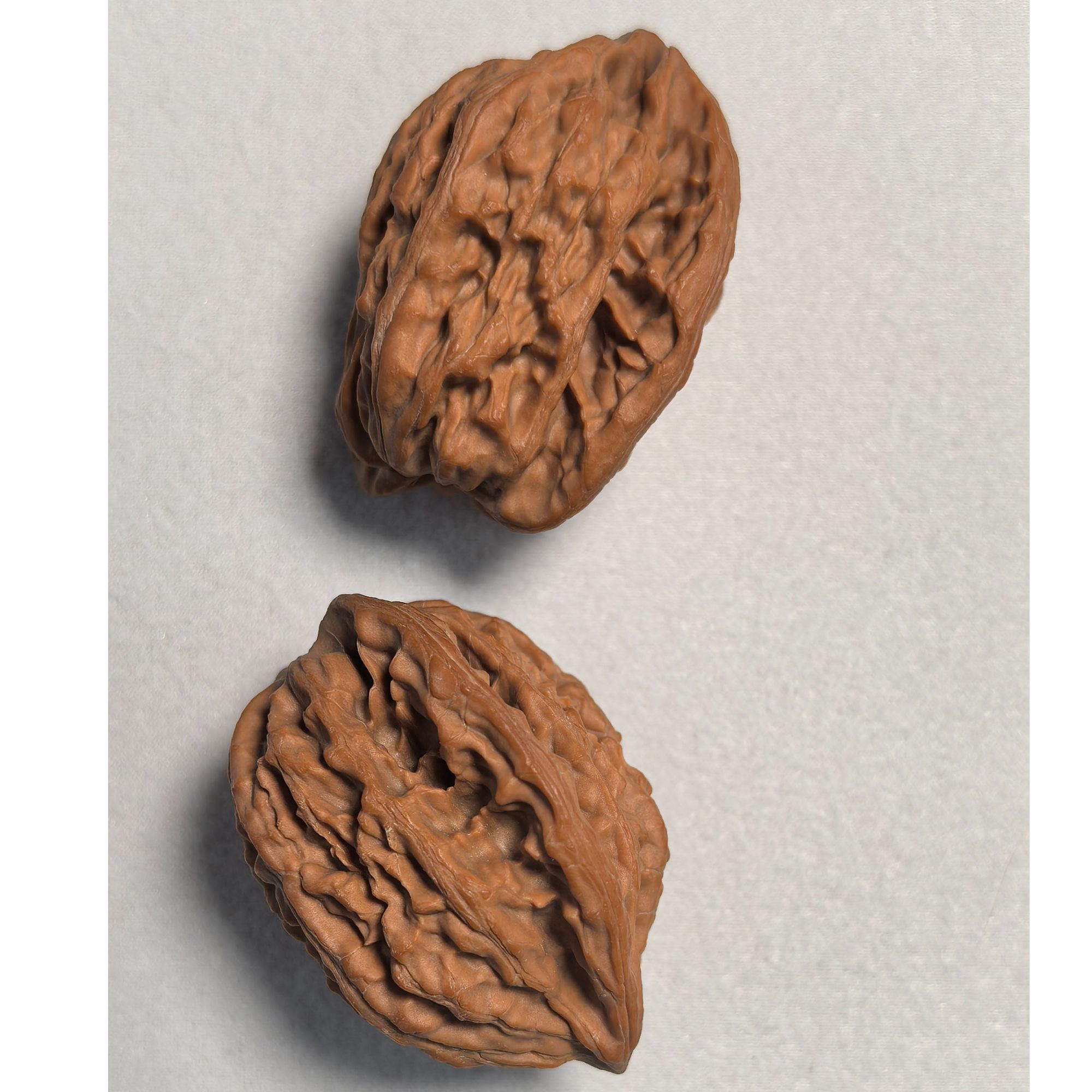  孤品-道哥俱乐部文玩核桃摆件（全品）
