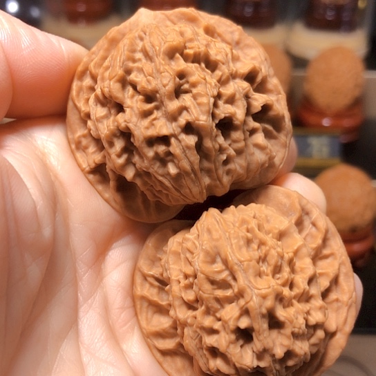 福利：老款盘龙纹全品