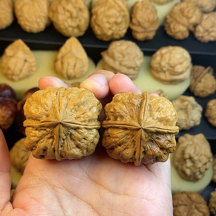 文玩核桃吊坠蝉王十八包四棱40