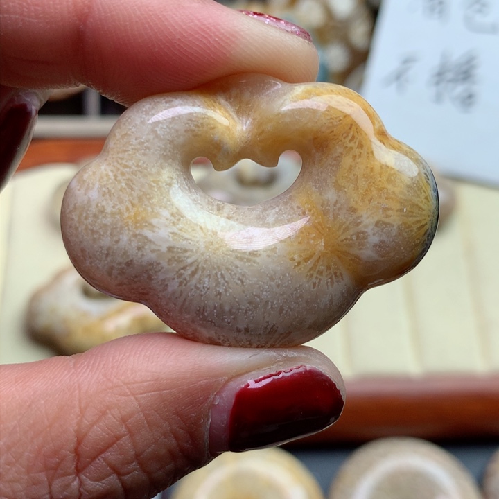 硅化珊瑚（珊瑚玉）颈饰未镶嵌