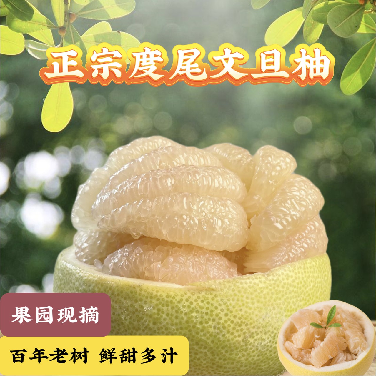 福建仙游度尾文旦柚红心白心新鲜应季酸甜多汁孕妇水果