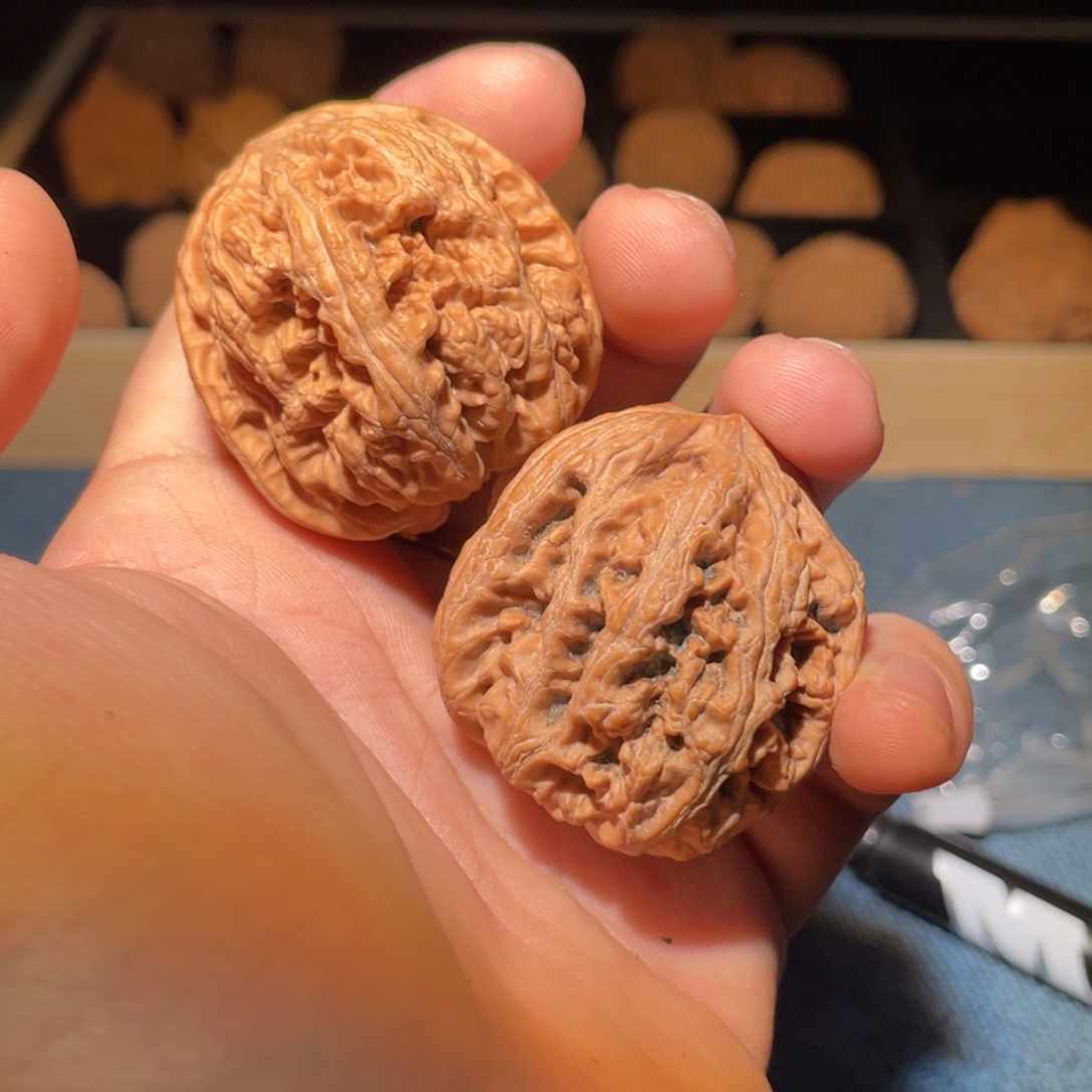 文玩核桃把件旺*55555555556666666