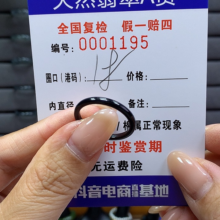 翡翠戒指未镶嵌     1195