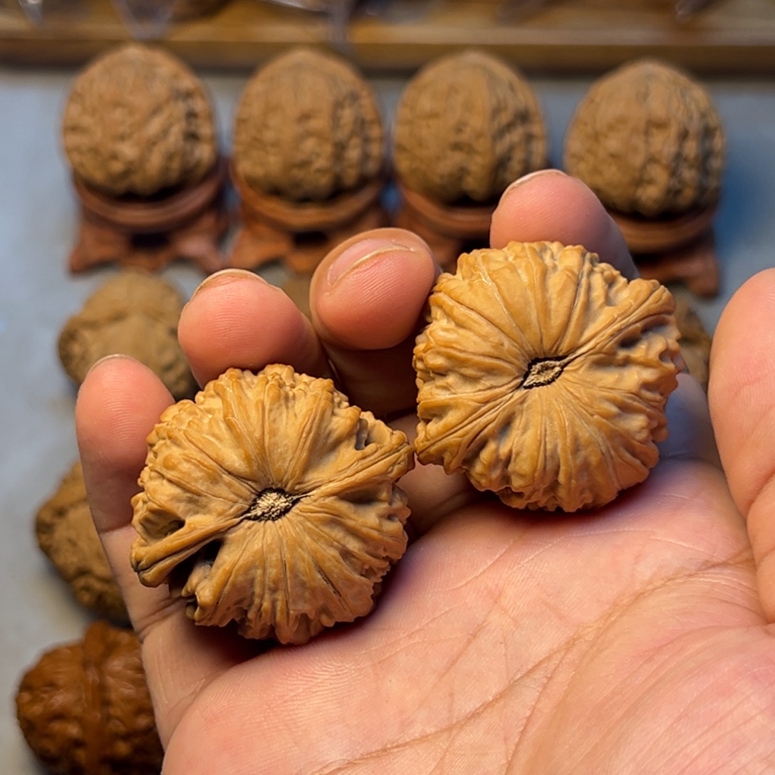 39尺南瓜底闷白 尖上有黄