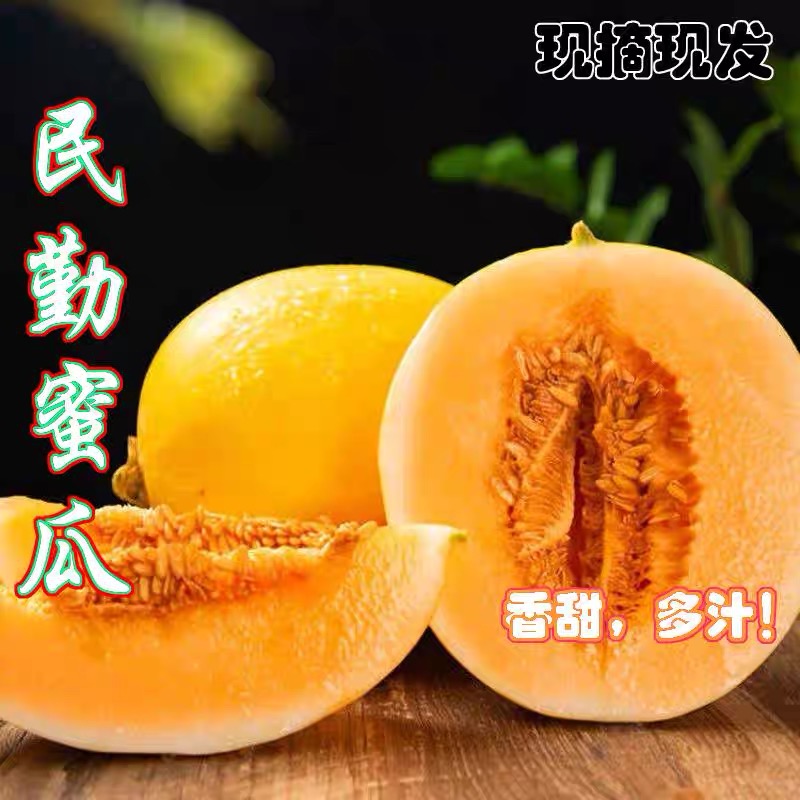 甘肃民勤沙漠蜜瓜爆甜爽口黄皮戈壁蜜瓜