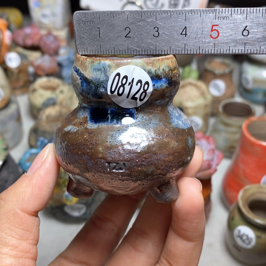 花盆拍5送一个小礼物