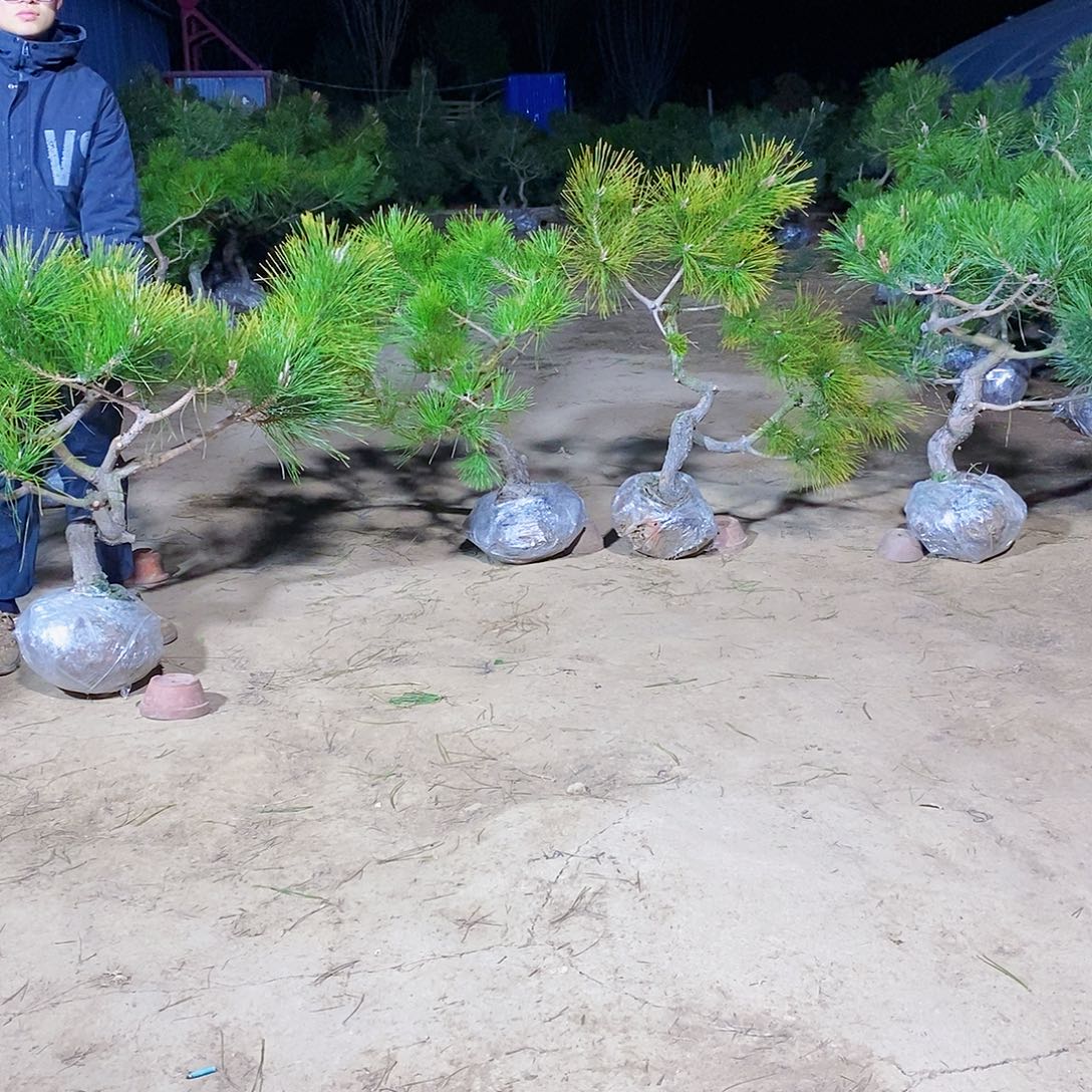 创***宝完全开放1111111111111111