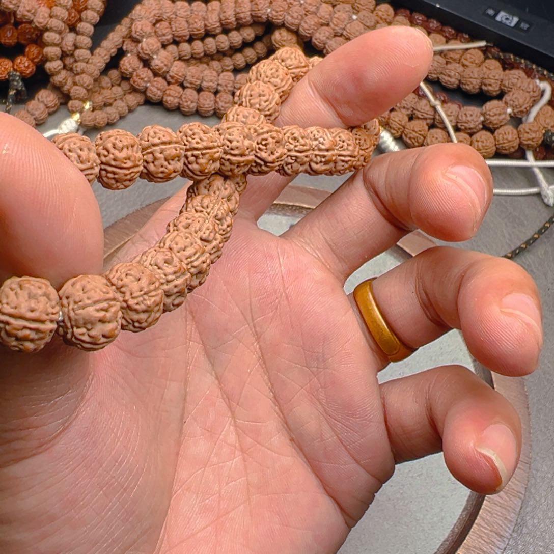 菩提根/象牙果手串小**学