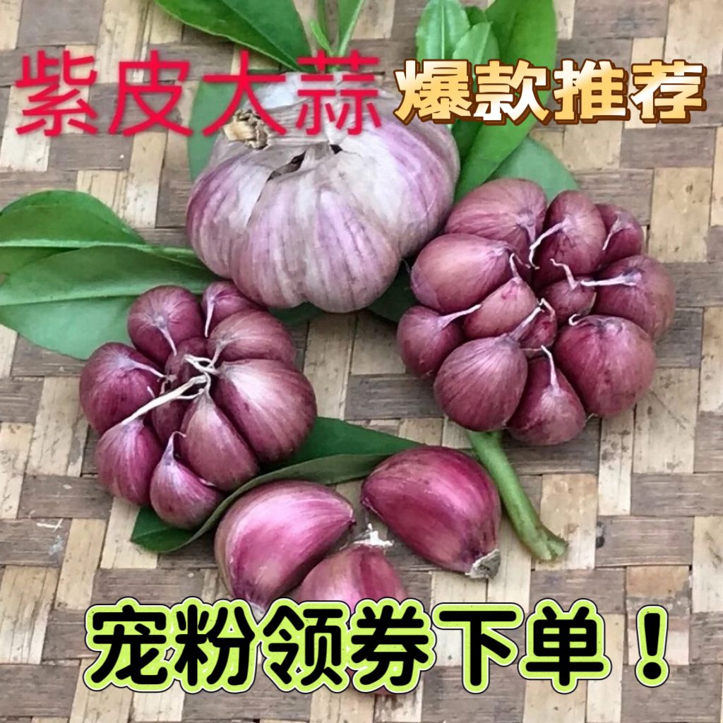 食香九镇云南农家土蒜干大蒜不是种蒜剥了外衣净重发货1-5斤