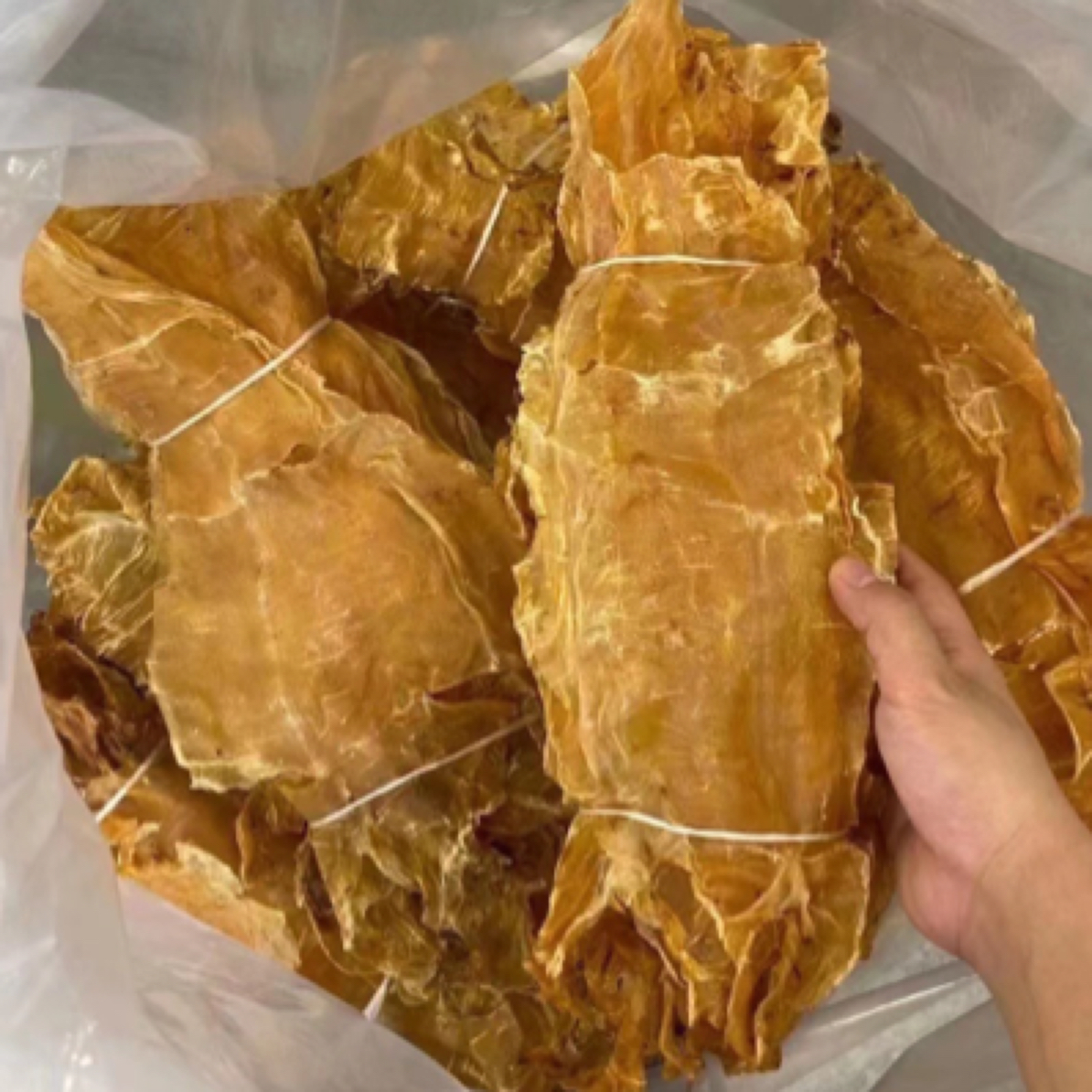 【晴晴老友记】本港扎胶公肚 滋补花胶 煲汤焖煮炖奶