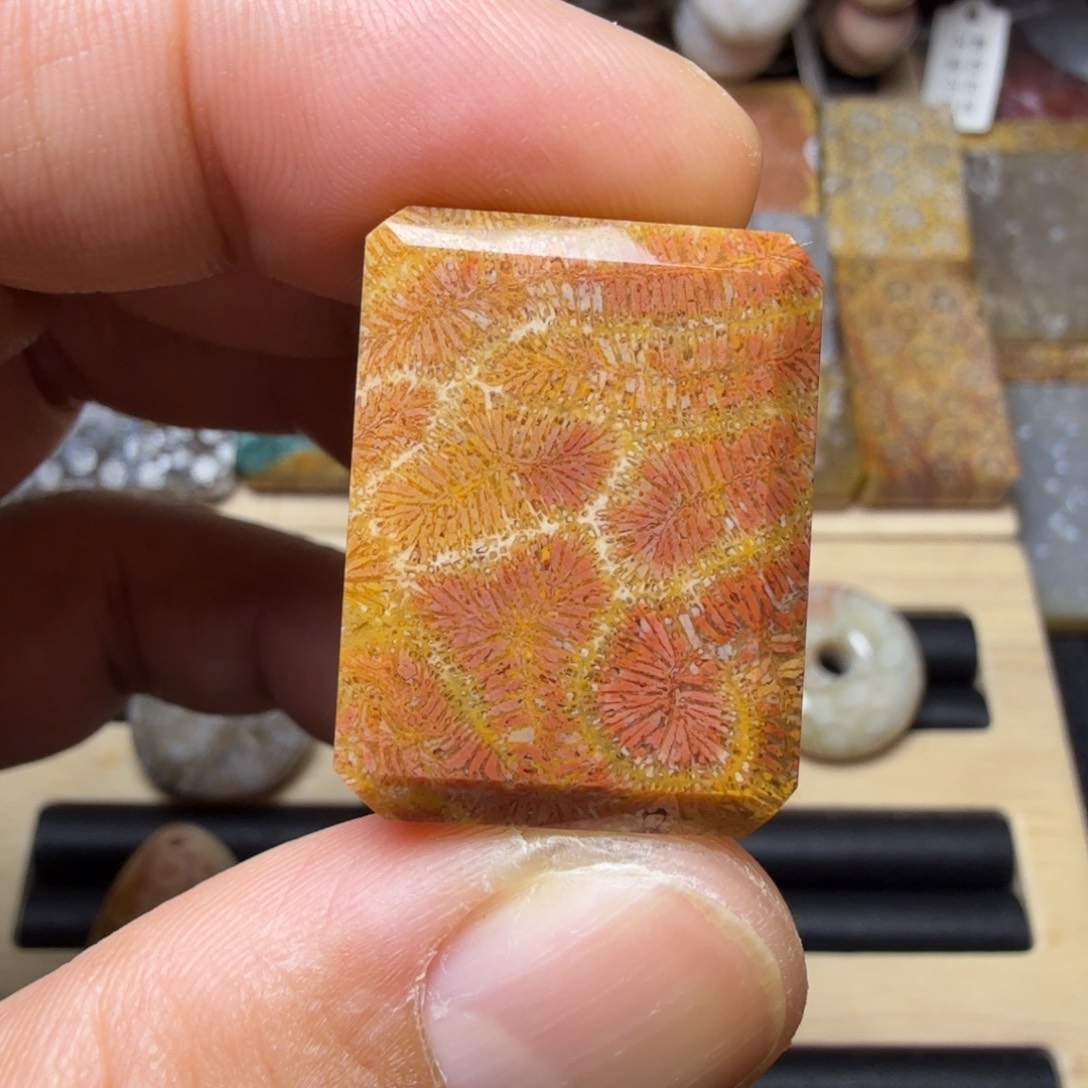 硅化玉未镶嵌纯天然色有机玉石保真色