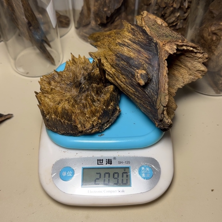 风车木（黑檀木）公*哥野生棋楠208克