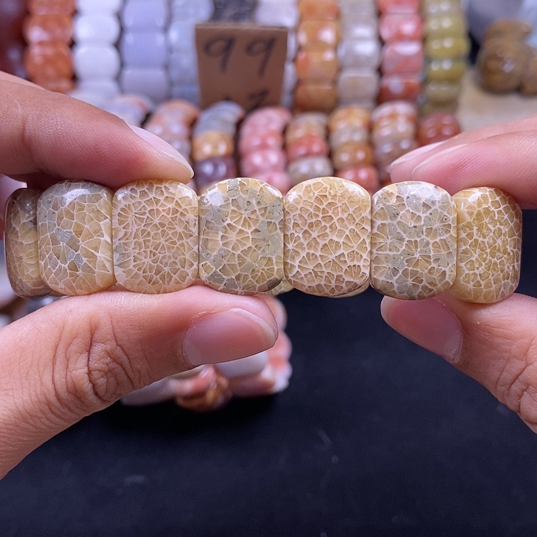 硅化珊瑚（珊瑚玉）未镶嵌手串绿色万花筒13