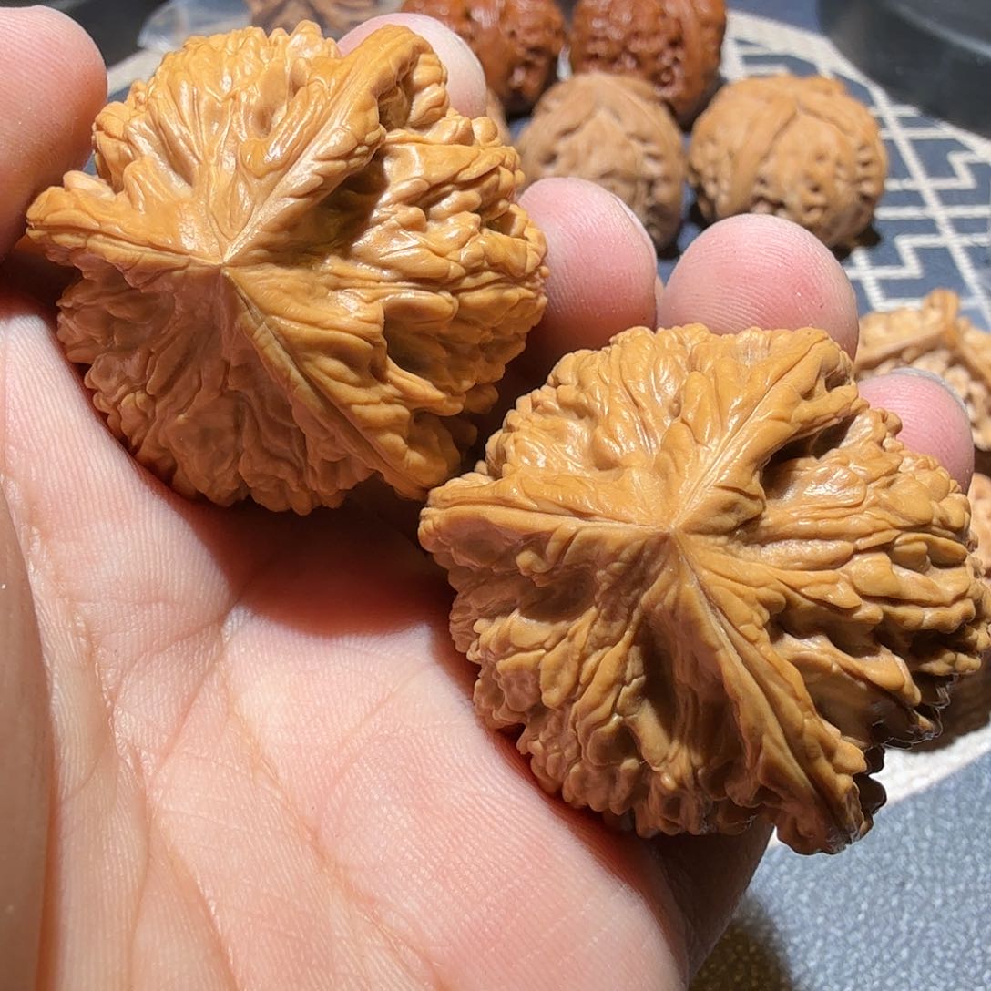 文玩核桃把件半*心御龙正奔